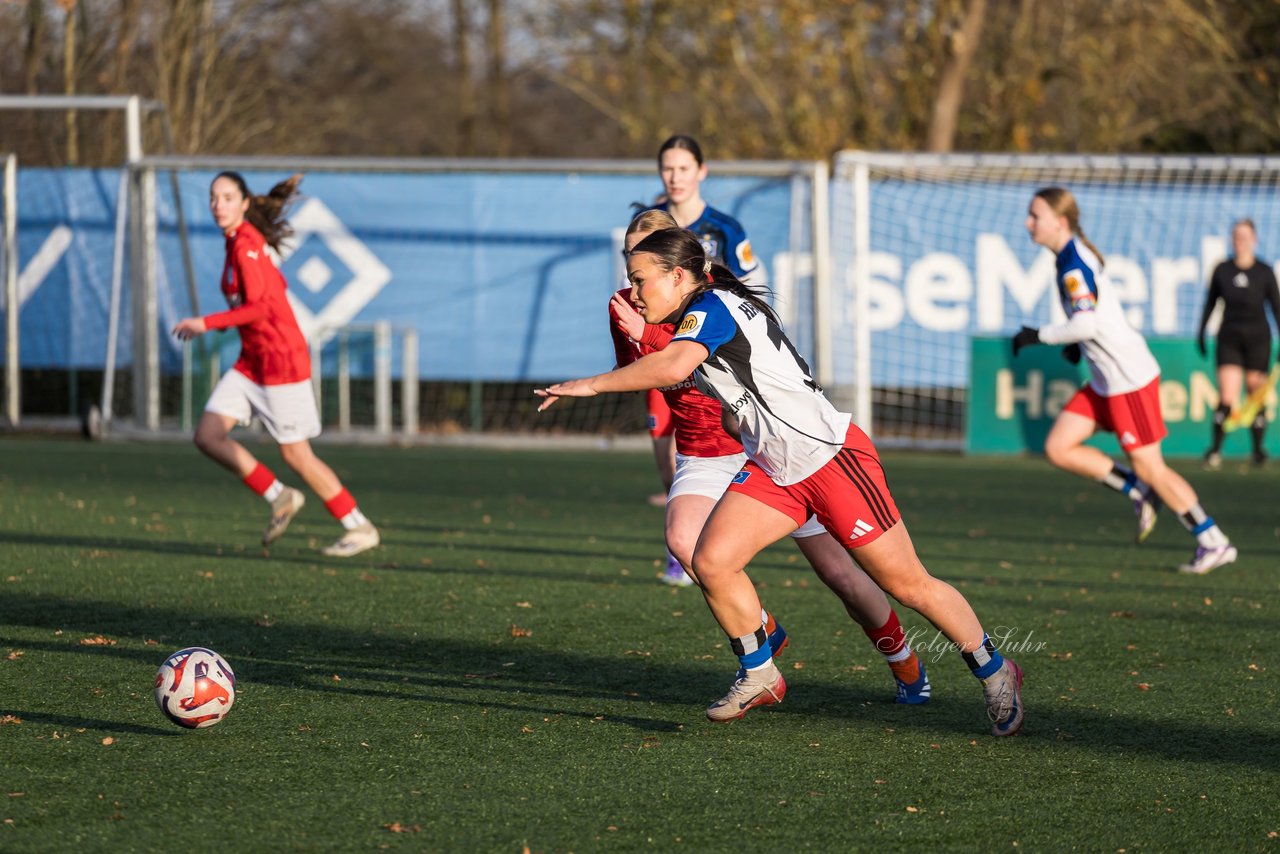 Bild 140 - wBJ Hamburger SV - Holstein Kiel : Ergebnis: 8:0